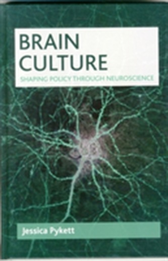 Brain culture