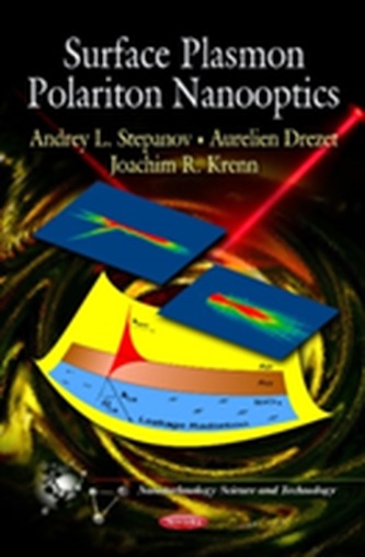 Surface Plasmon Polariton Nanooptics
