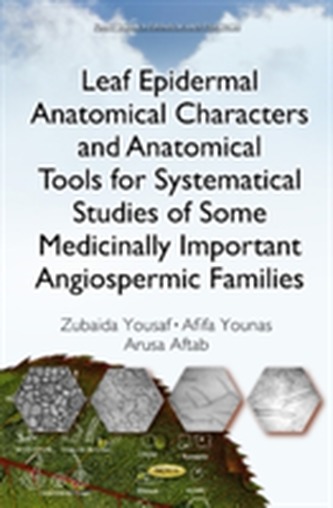 Leaf Epidermal Anatomical Characters and Anatomical Tools for Systematical Studies of Some Medicinally Important Angiosp