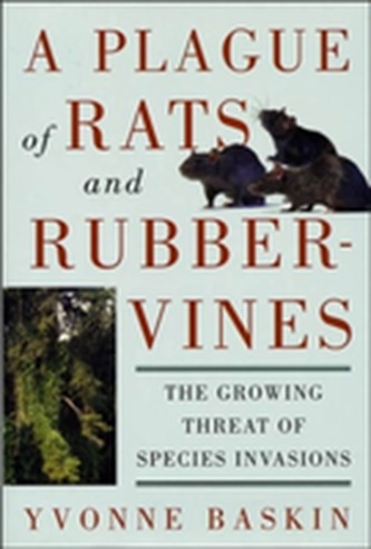 A Plague of Rats and Rubbervines