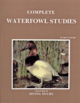 Complete Waterfowl Studies