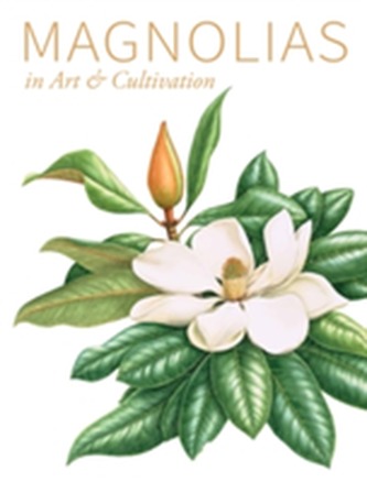 Magnolias