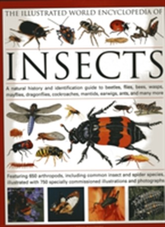 The Illustrated World Encyclopaedia of Insects