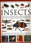 The Illustrated World Encyclopaedia of Insects