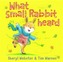 What Small Rabbit Heard
