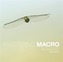Mastering Macro Photography
