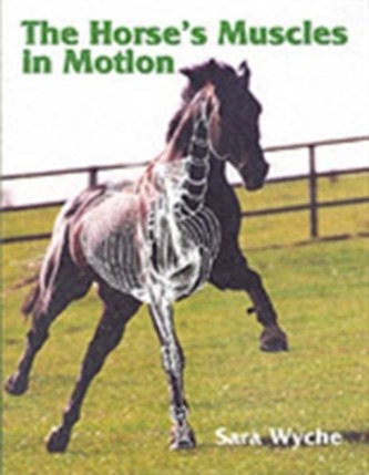 The Horse's Muscles in Motion