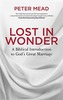 Lost in Wonder