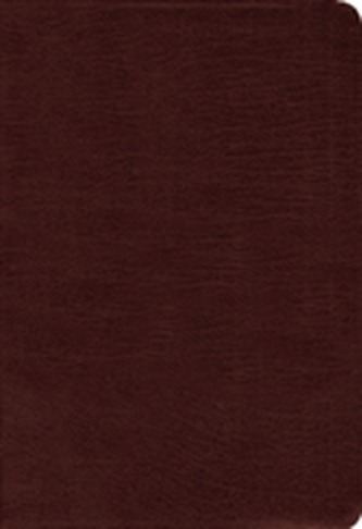 Amplified Holy Bible, Bonded Leather, Burgundy