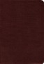 Amplified Holy Bible, Bonded Leather, Burgundy
