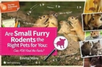 Are Small Furry Rodents the Right Pet for You