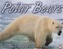 Polar Bears