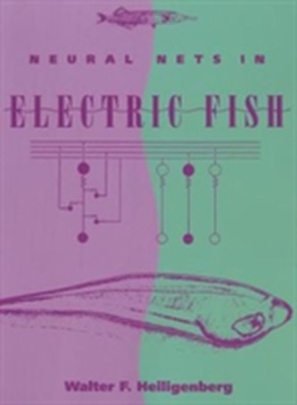 Neural Nets in Electric Fish