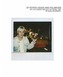 Of Potato Heads And Polaroids