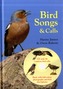 Bird Songs & Calls