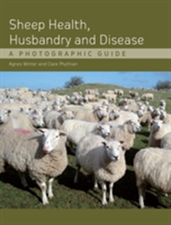 Sheep Health, Husbandry and Disease