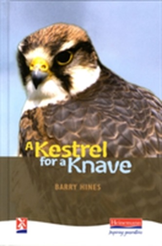 A Kestrel for a Knave