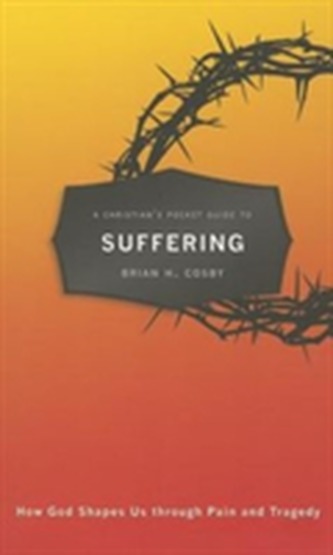 A Christian's Pocket Guide to Suffering