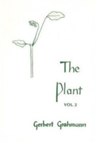 The The Plant