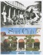 Surf Club
