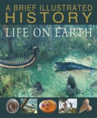 A Brief Illustrated History of Life on Earth
