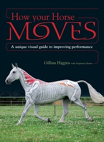 How Your Horse Moves