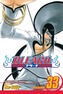 Bleach 33 (anglicky)