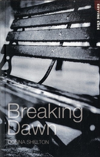 Breaking Dawn