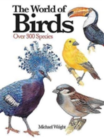 The World of Birds