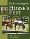 Understanding the Horse's Feet
