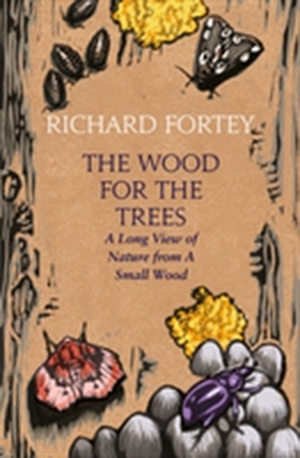 The Wood for the Trees