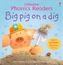 Big Pig On A Dig Phonics Reader