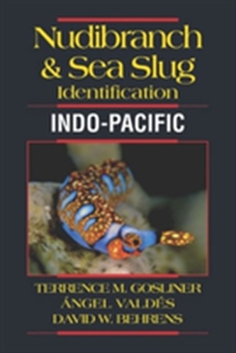 Nudibranch & Sea Slug Identification -- Indo-Pacific