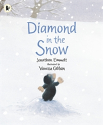 Diamond in the Snow