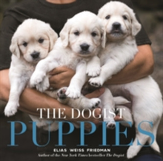 Dogist Puppies, The