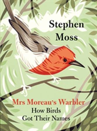 Mrs Moreau's Warbler