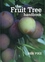 The Fruit Tree Handbook