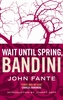 Wait Until Spring, Bandini