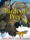100 Facts - Birds Of Prey