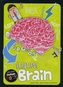 Beautiful Brain