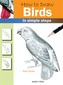 How to Draw: Birds