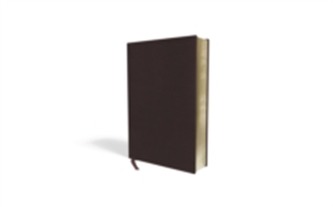 Amplified Holy Bible, Large Print, Bonded Leather, Burgundy