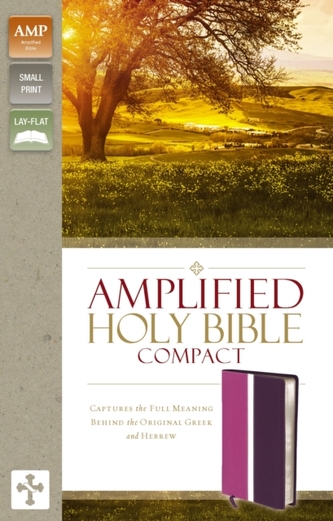Amplified Holy Bible, Compact, Leathersoft, Pink/Purple