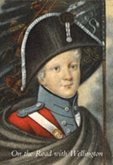 On the Road with Wellington