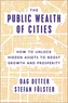 The Public Wealth of Cities