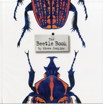 The Beetle Book