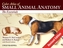 Color Atlas of Small Animal Anatomy