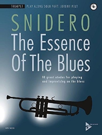 ESSENCE OF THE BLUES