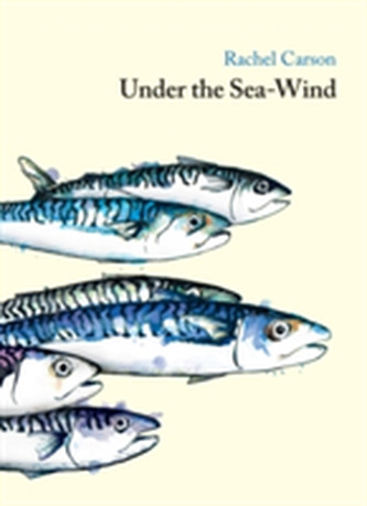 Under the Sea Wind