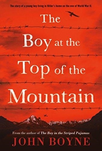 BOY AT THE TOP OF THE MOUNTAIN